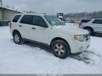  Salvage Ford Escape