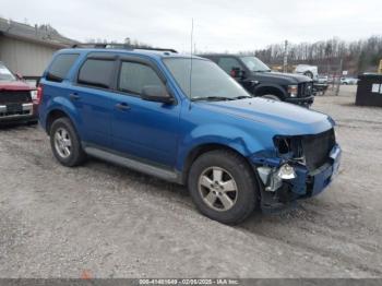  Salvage Ford Escape