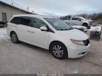  Salvage Honda Odyssey