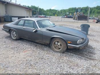 Salvage Jaguar Xjs