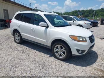  Salvage Hyundai SANTA FE