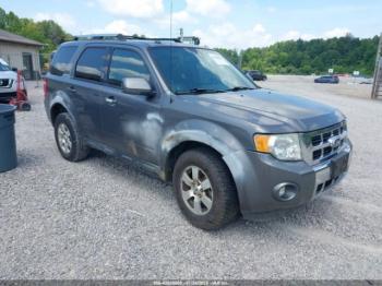  Salvage Ford Escape