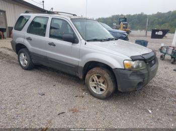  Salvage Ford Escape