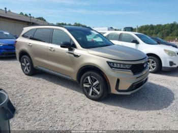  Salvage Kia Sorento