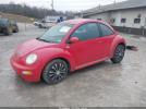 Volkswagen Beetle Gl Image 5