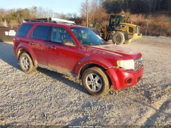  Salvage Ford Escape