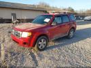 Ford Escape Xlt Image 10