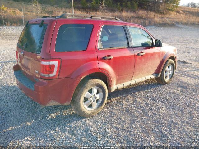 Ford Escape Xlt Image 7