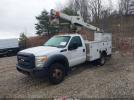 Ford F-450 Xl Image 10